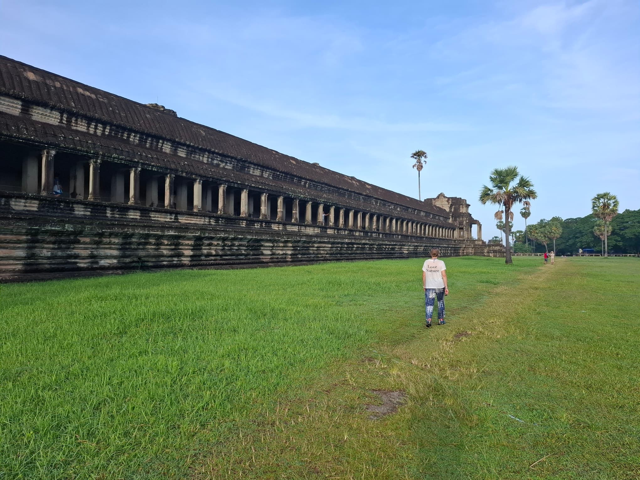 Jennifer marchant dans l'herbe