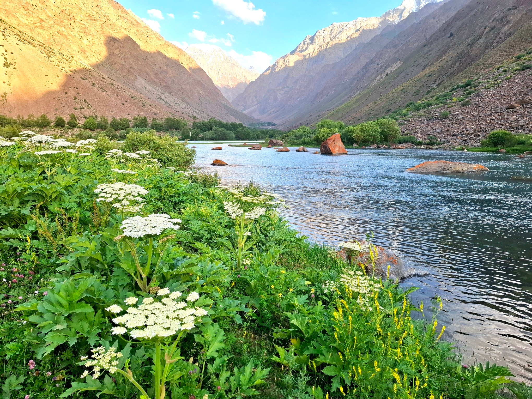 Compléments naturels