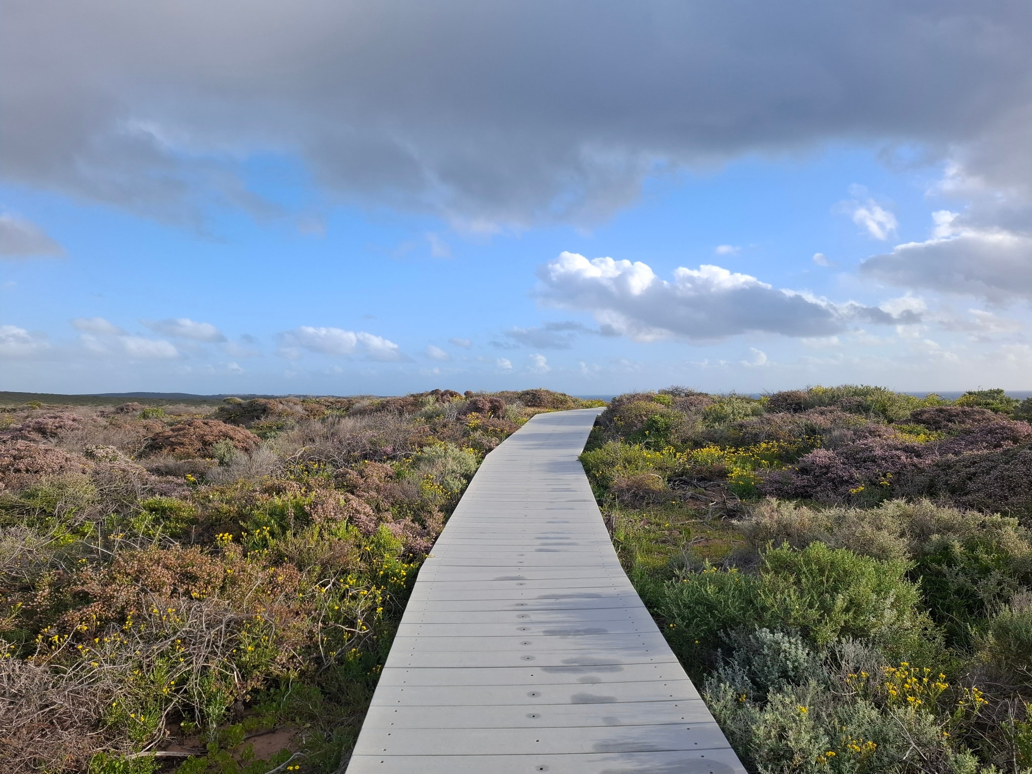 Investissez dans votre santé