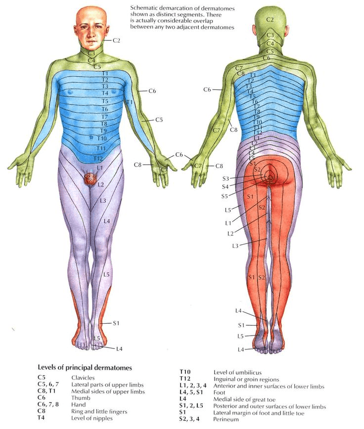 Massage du dos